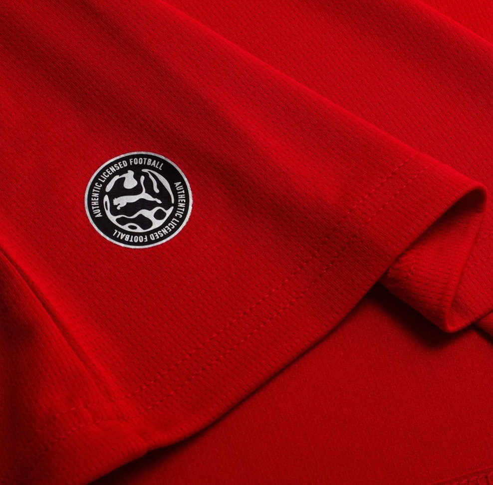 Maillot Maroc Domicile 2026 – Les Lions de l'Atlas