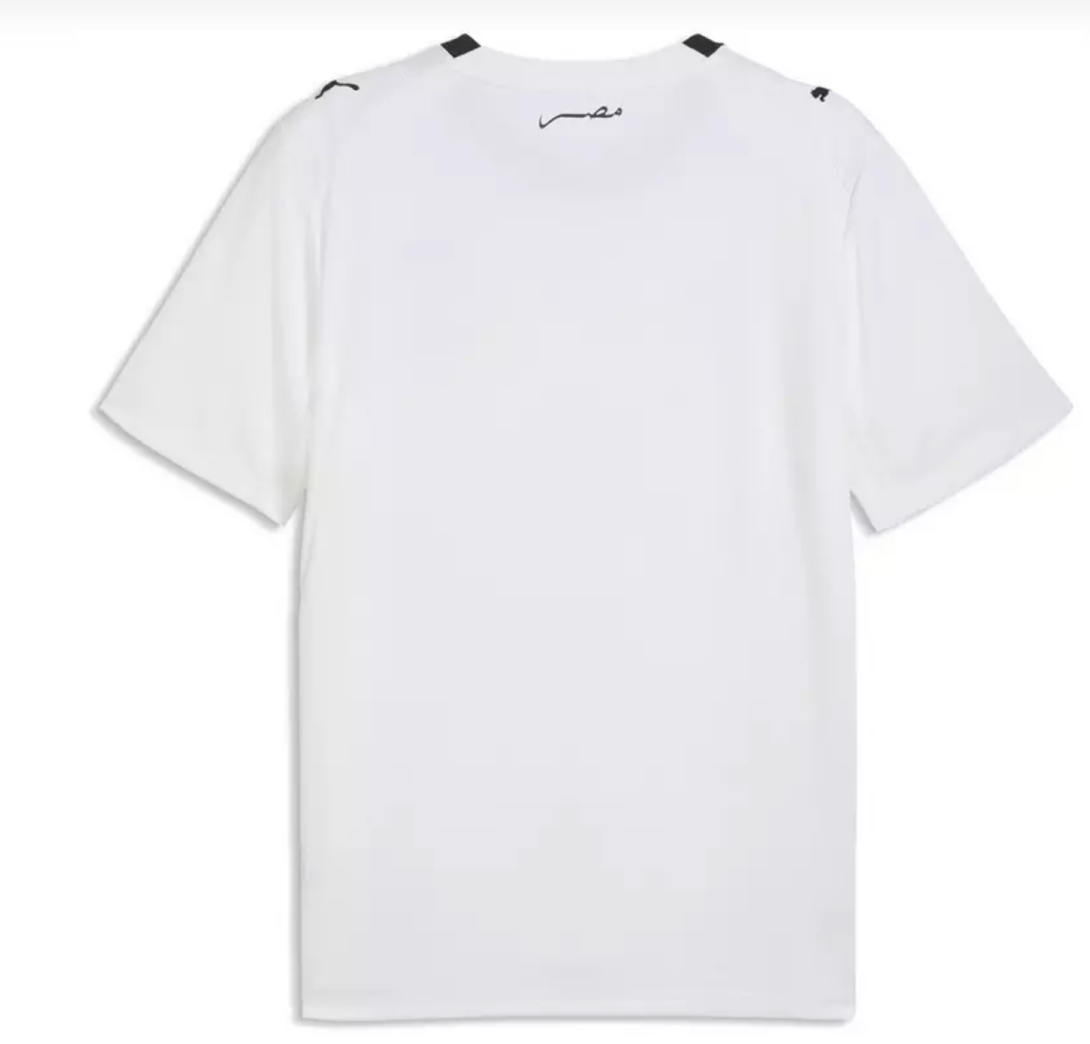 Maillot Égypte Extérieur Coupe du Monde 2026