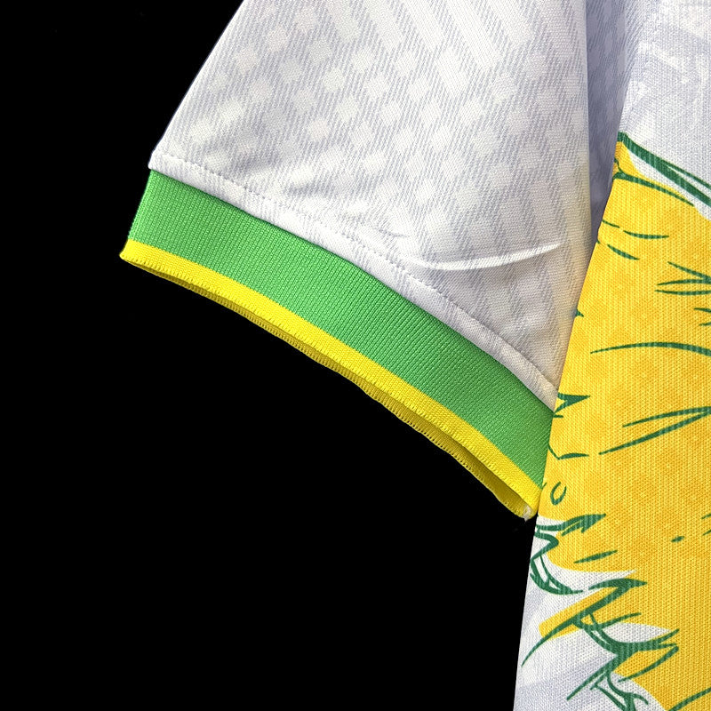 Brésil maillot foot concept 2024 2025